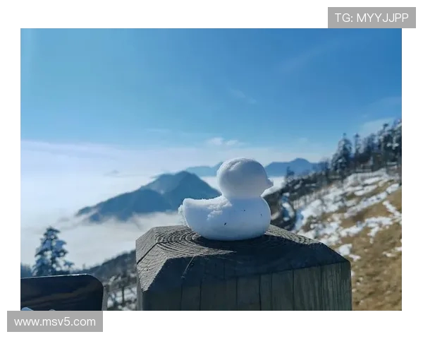 克雷桑分享假期快乐游记畅游成都西岭雪山美景尽收眼底